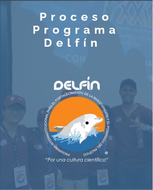 Proceso Programa Delfín